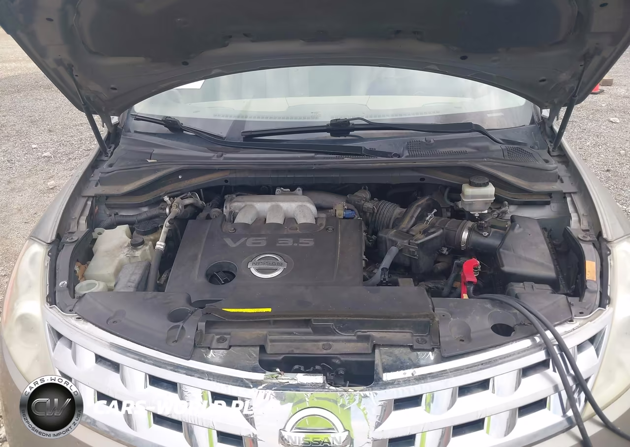 2004 Nissan Murano Sl VIN:JN8AZ08W94W319570 - 10