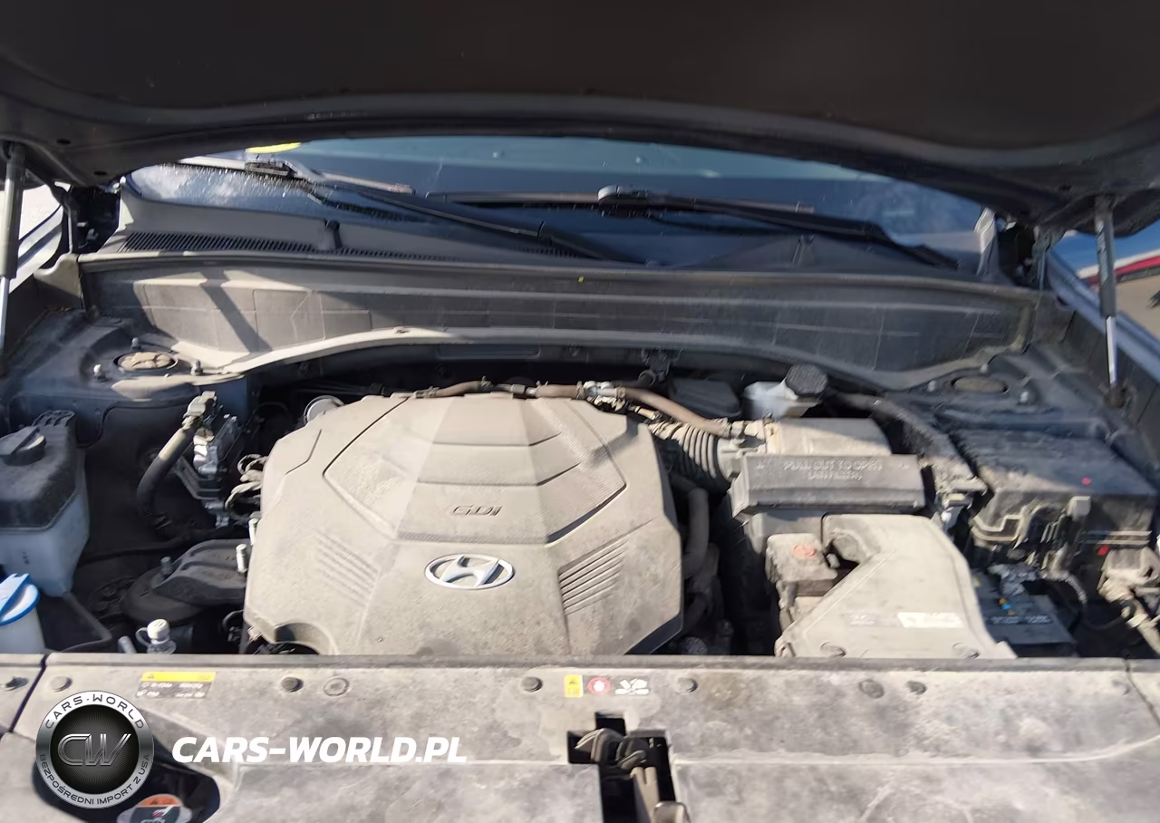 2020 Hyundai Palisade Se VIN:KM8R1DHE8LU051332 - 10