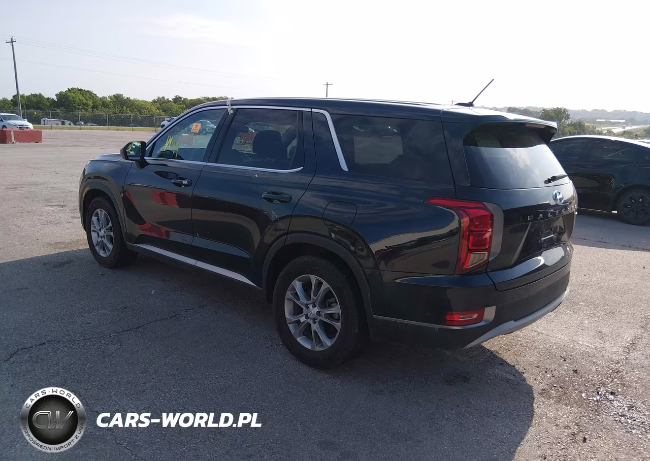 2020 Hyundai Palisade Se VIN:KM8R1DHE8LU051332 - 3