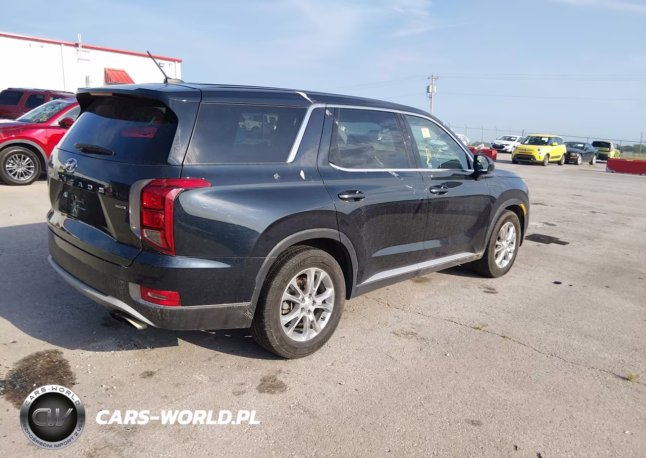 2020 Hyundai Palisade Se VIN:KM8R1DHE8LU051332 - 4