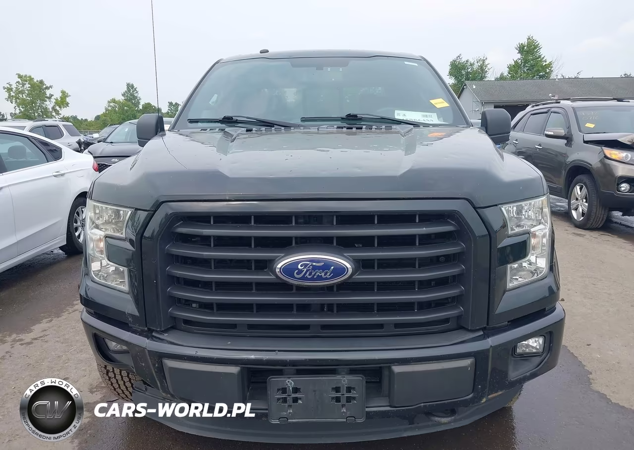 2016 Ford F-150 Lariat-Xl-Xlt VIN:1FTEW1EP1GFB95789 - 12