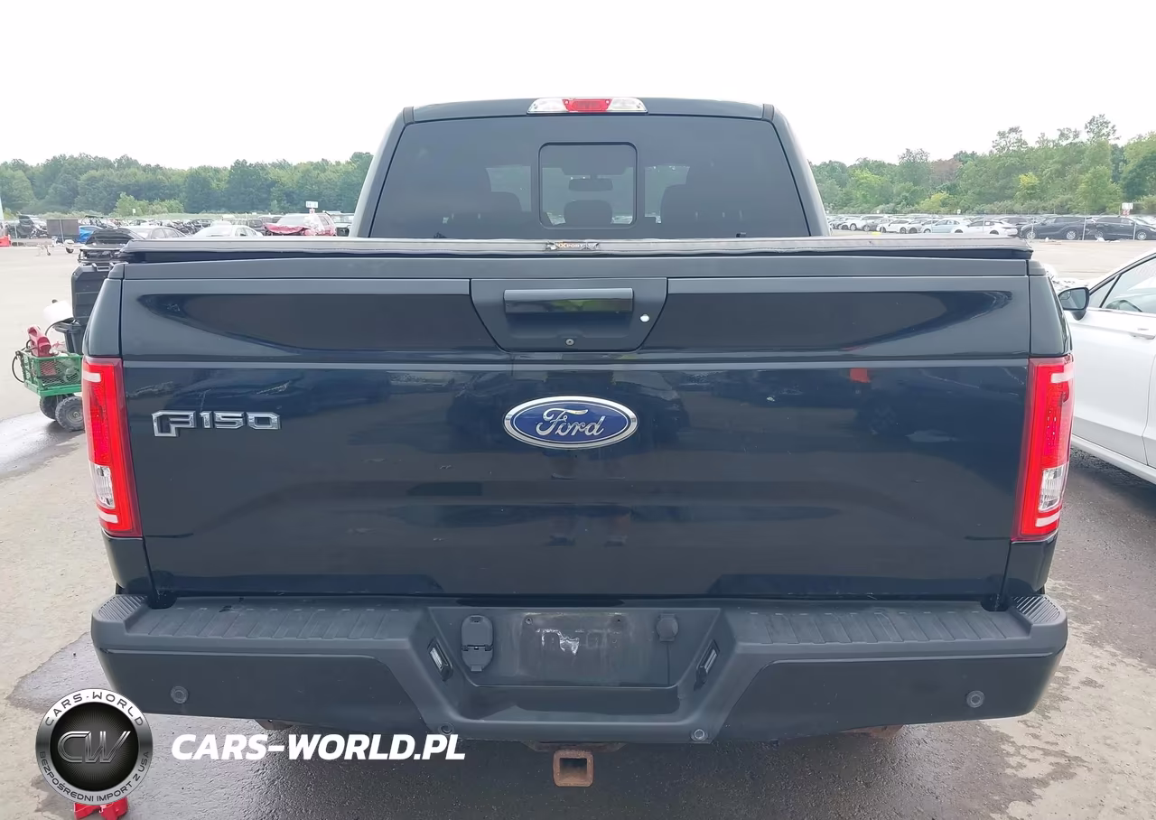 2016 Ford F-150 Lariat-Xl-Xlt VIN:1FTEW1EP1GFB95789 - 16