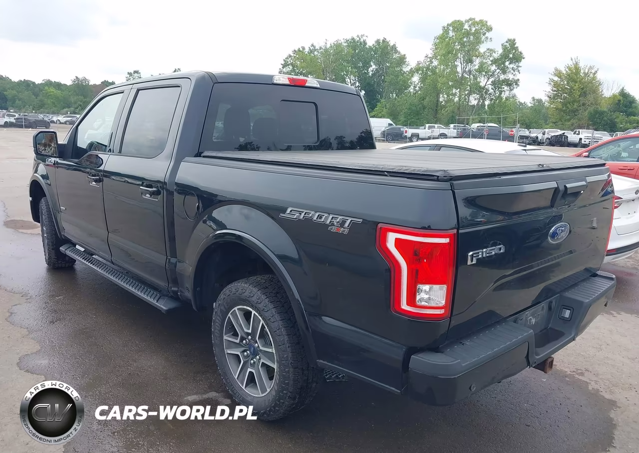 2016 Ford F-150 Lariat-Xl-Xlt VIN:1FTEW1EP1GFB95789 - 3