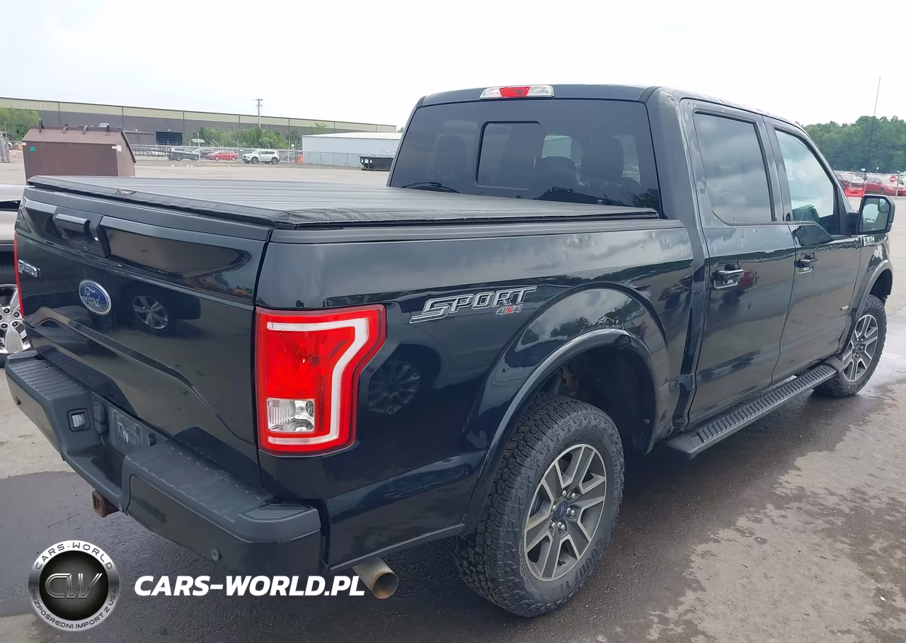 2016 Ford F-150 Lariat-Xl-Xlt VIN:1FTEW1EP1GFB95789 - 4