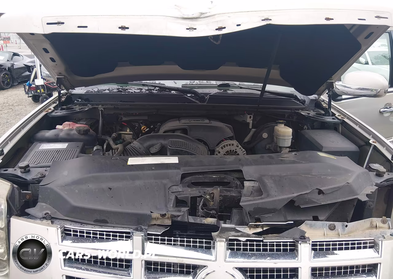 2009 Cadillac Escalade Esv Standard VIN:1GYFK26289R106532 - 10