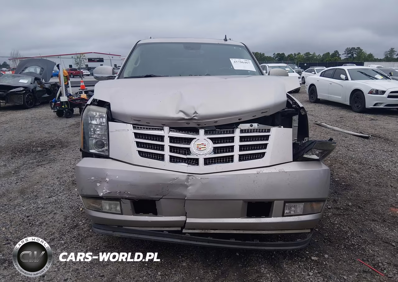 2009 Cadillac Escalade Esv Standard VIN:1GYFK26289R106532 - 13