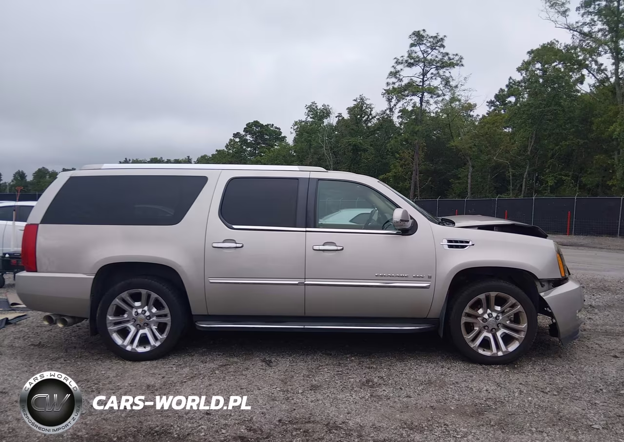 2009 Cadillac Escalade Esv Standard VIN:1GYFK26289R106532 - 14