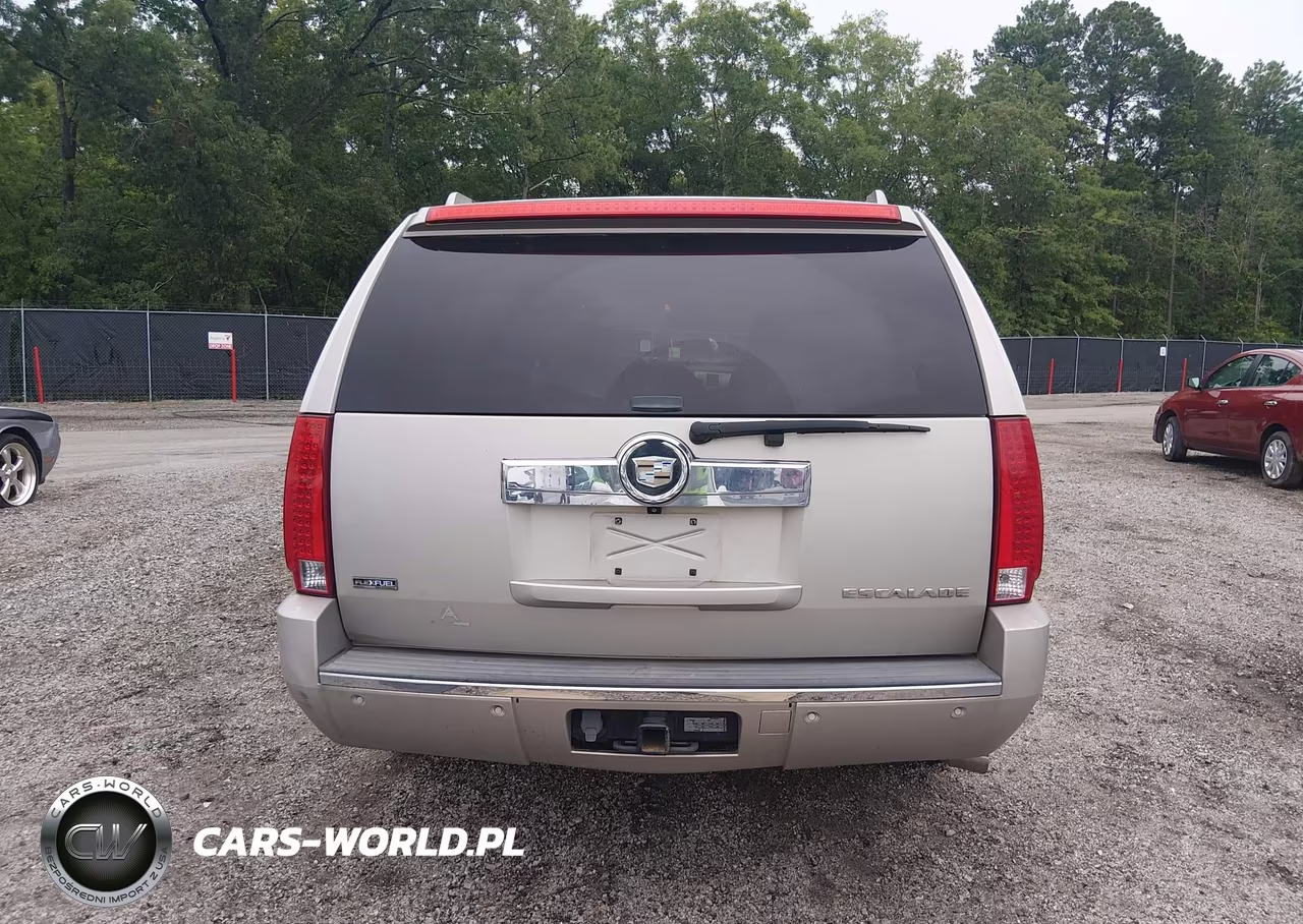 2009 Cadillac Escalade Esv Standard VIN:1GYFK26289R106532 - 17