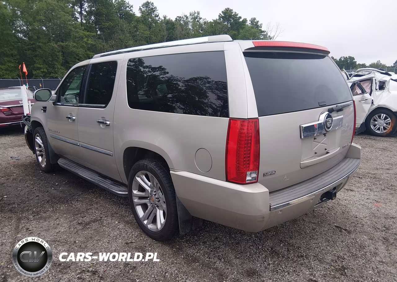 2009 Cadillac Escalade Esv Standard VIN:1GYFK26289R106532 - 3