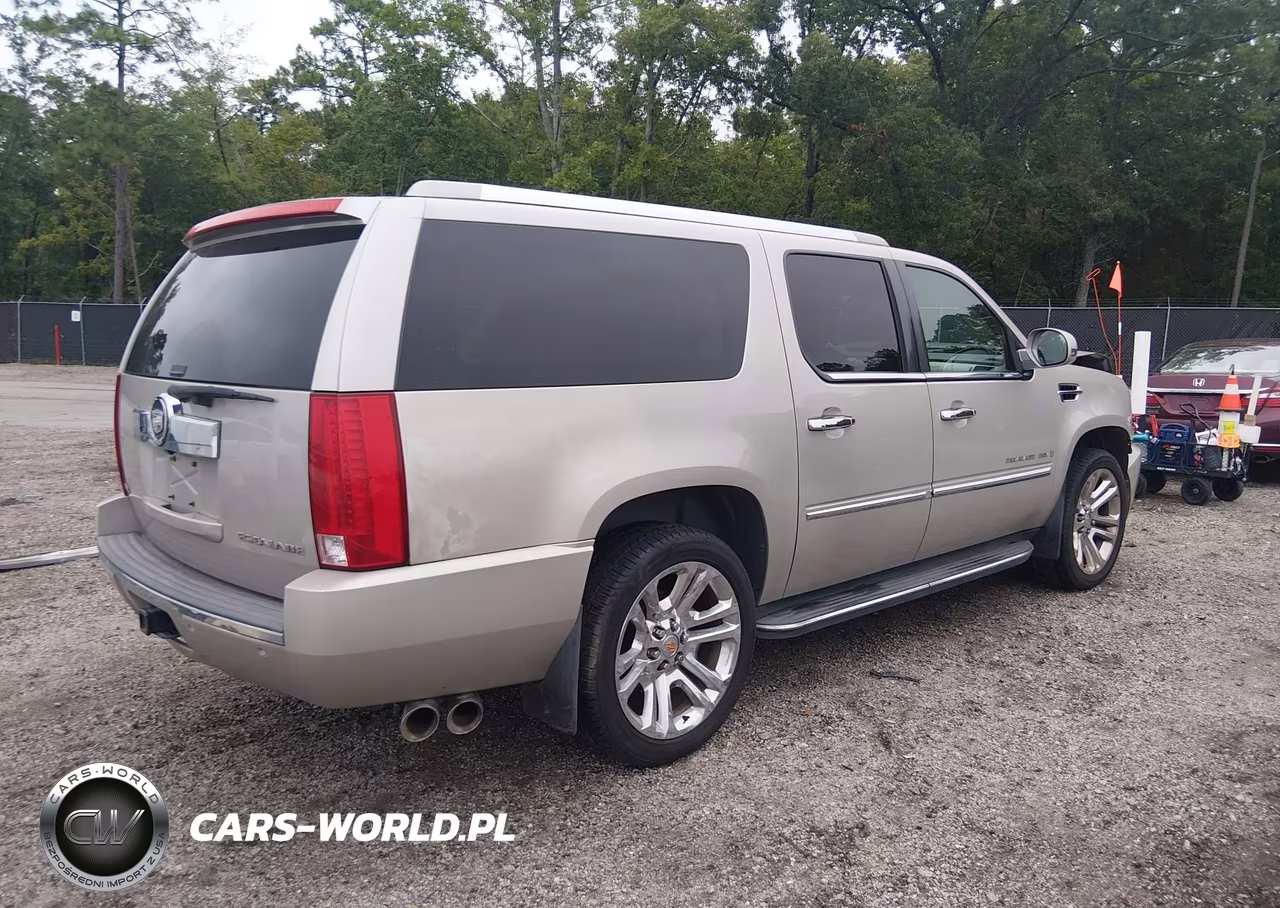 2009 Cadillac Escalade Esv Standard VIN:1GYFK26289R106532 - 4