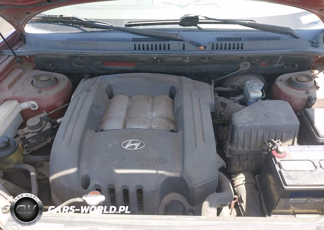2005 Hyundai Santa Fe Gls VIN:KM8SC13D05U931260 - 10