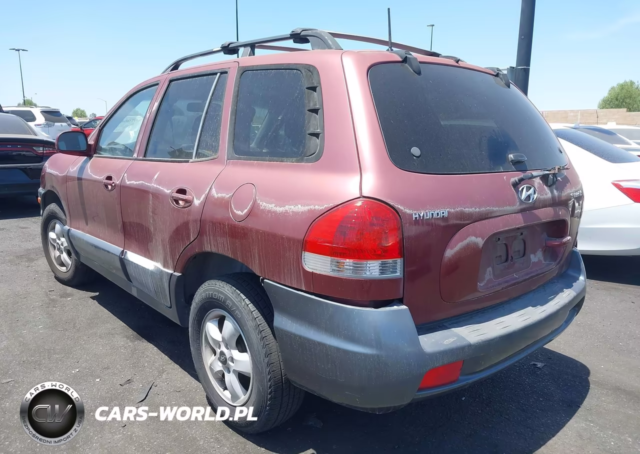 2005 Hyundai Santa Fe Gls VIN:KM8SC13D05U931260 - 3