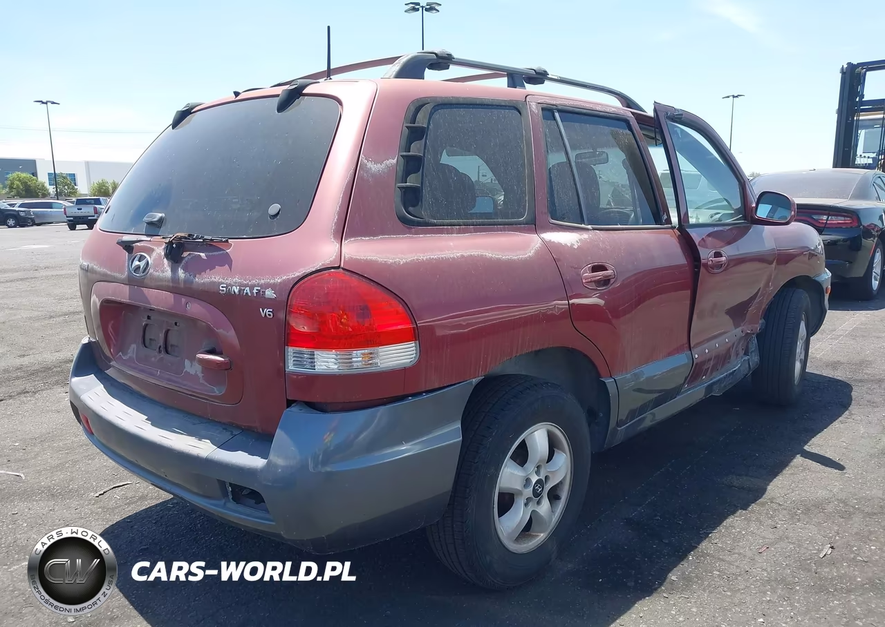 2005 Hyundai Santa Fe Gls VIN:KM8SC13D05U931260 - 4