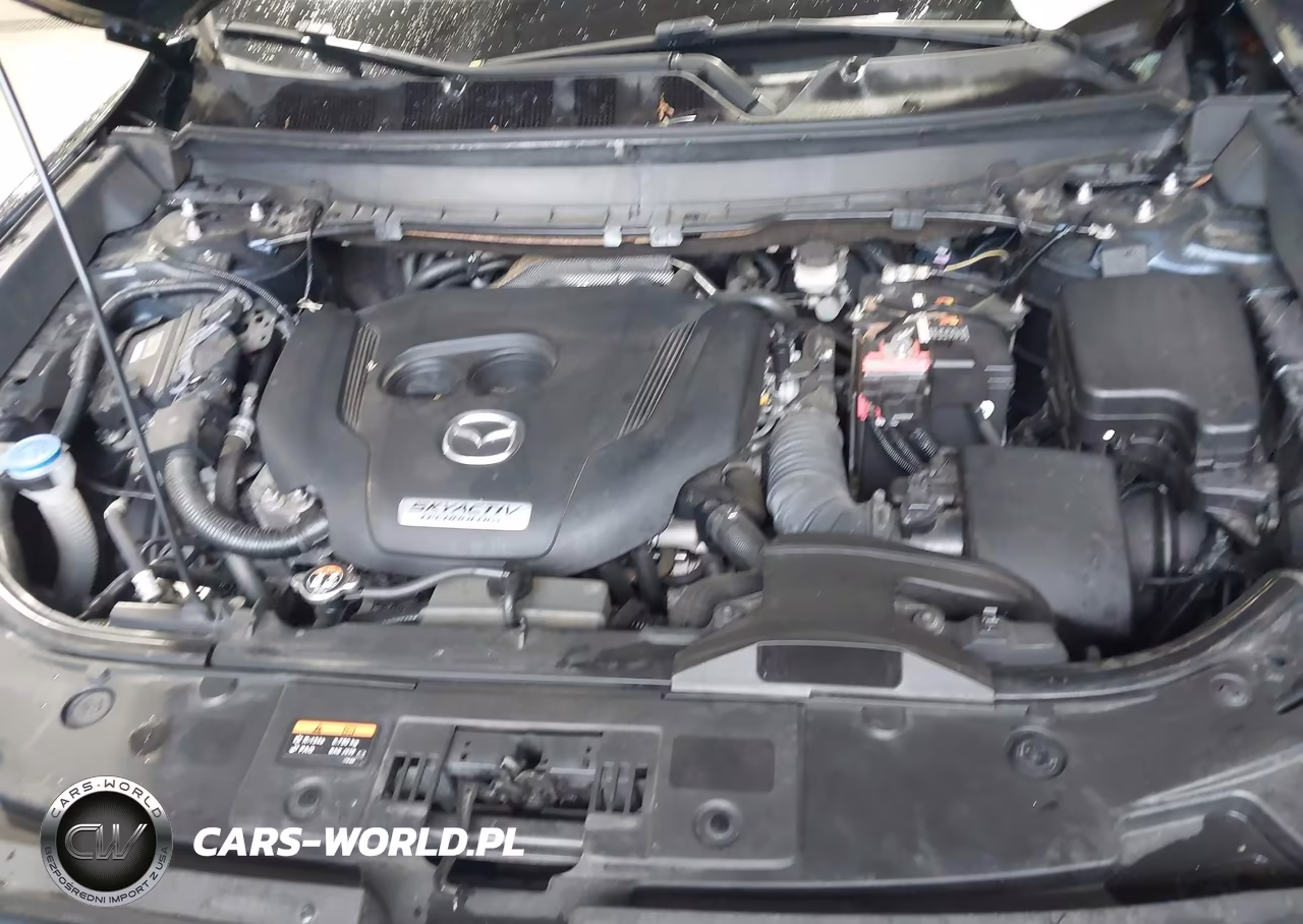 2018 Mazda Cx-9 Sport VIN:JM3TCBBY1J0204561 - 10