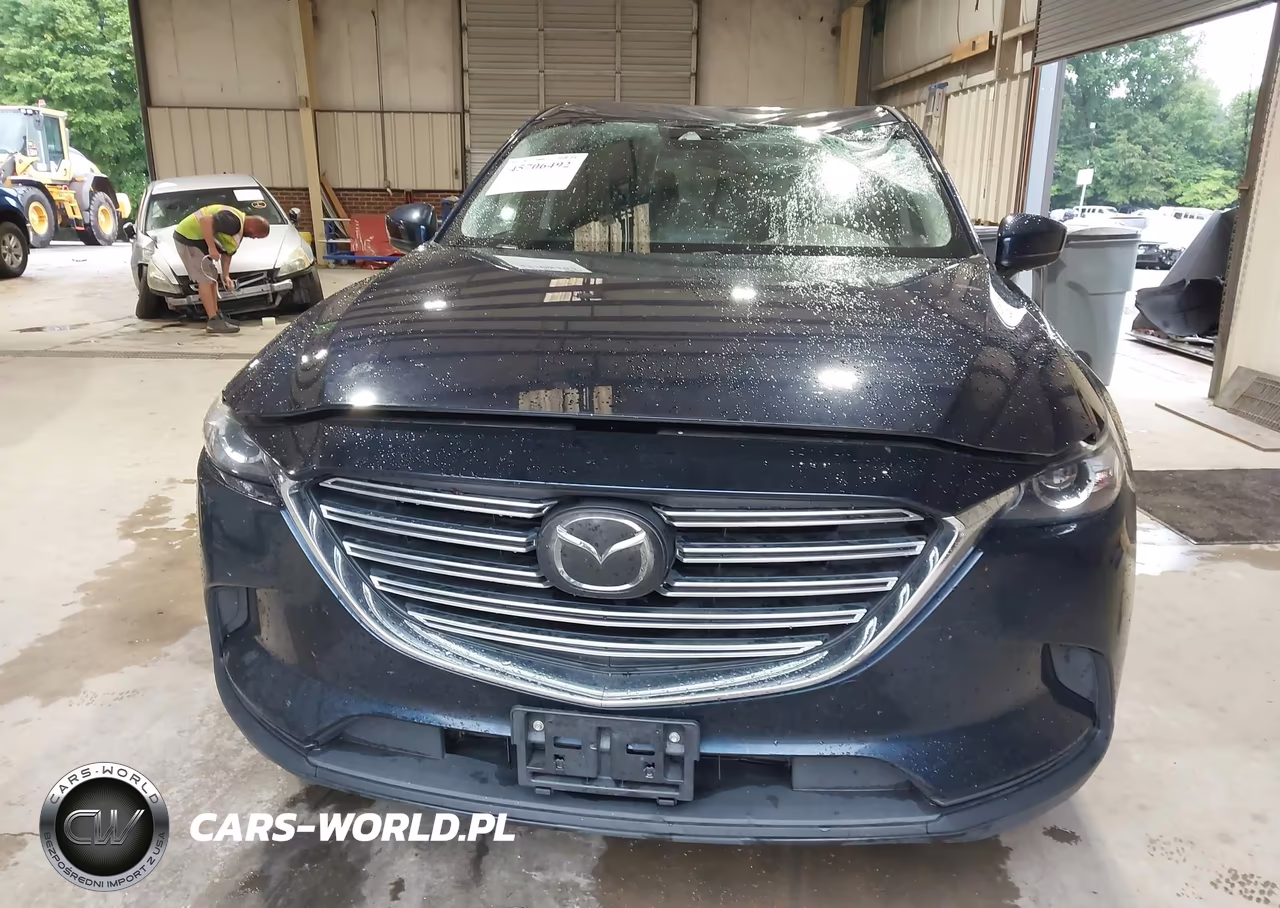 2018 Mazda Cx-9 Sport VIN:JM3TCBBY1J0204561 - 12