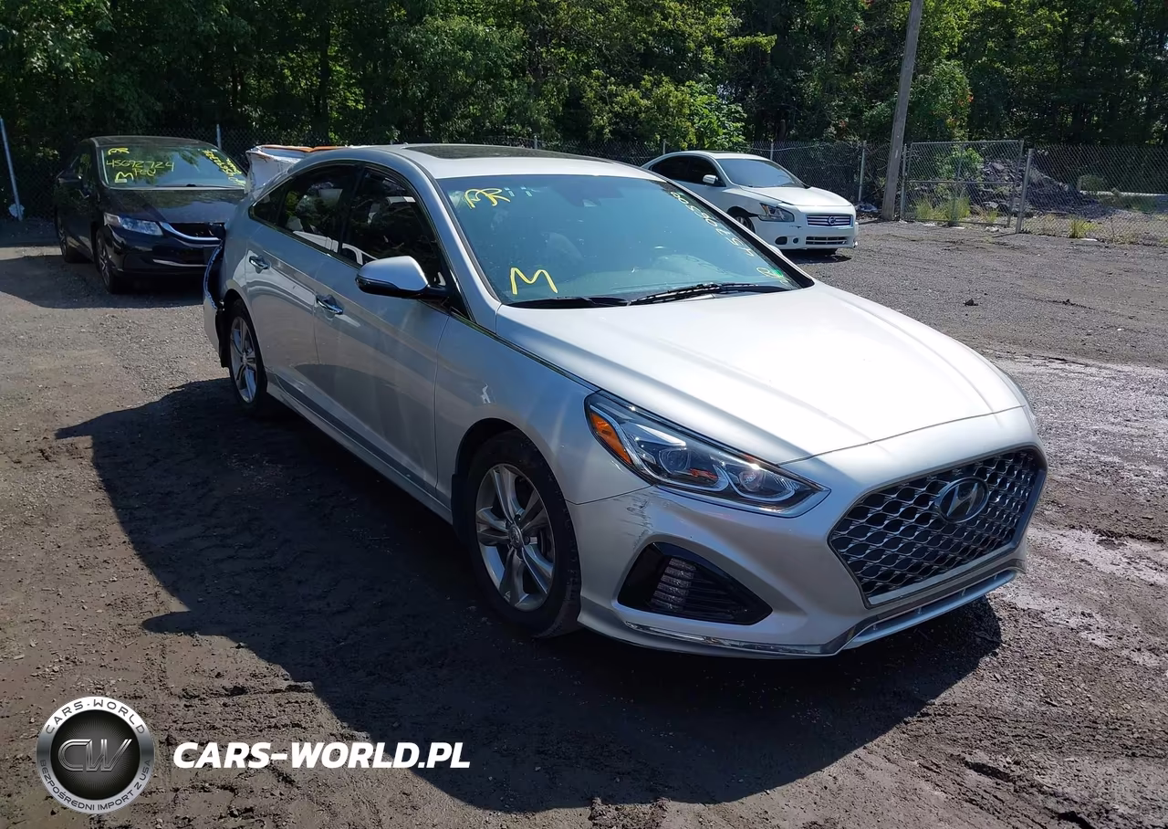 2019 Hyundai Sonata Limited VIN:5NPE34AF2KH815068 - 1
