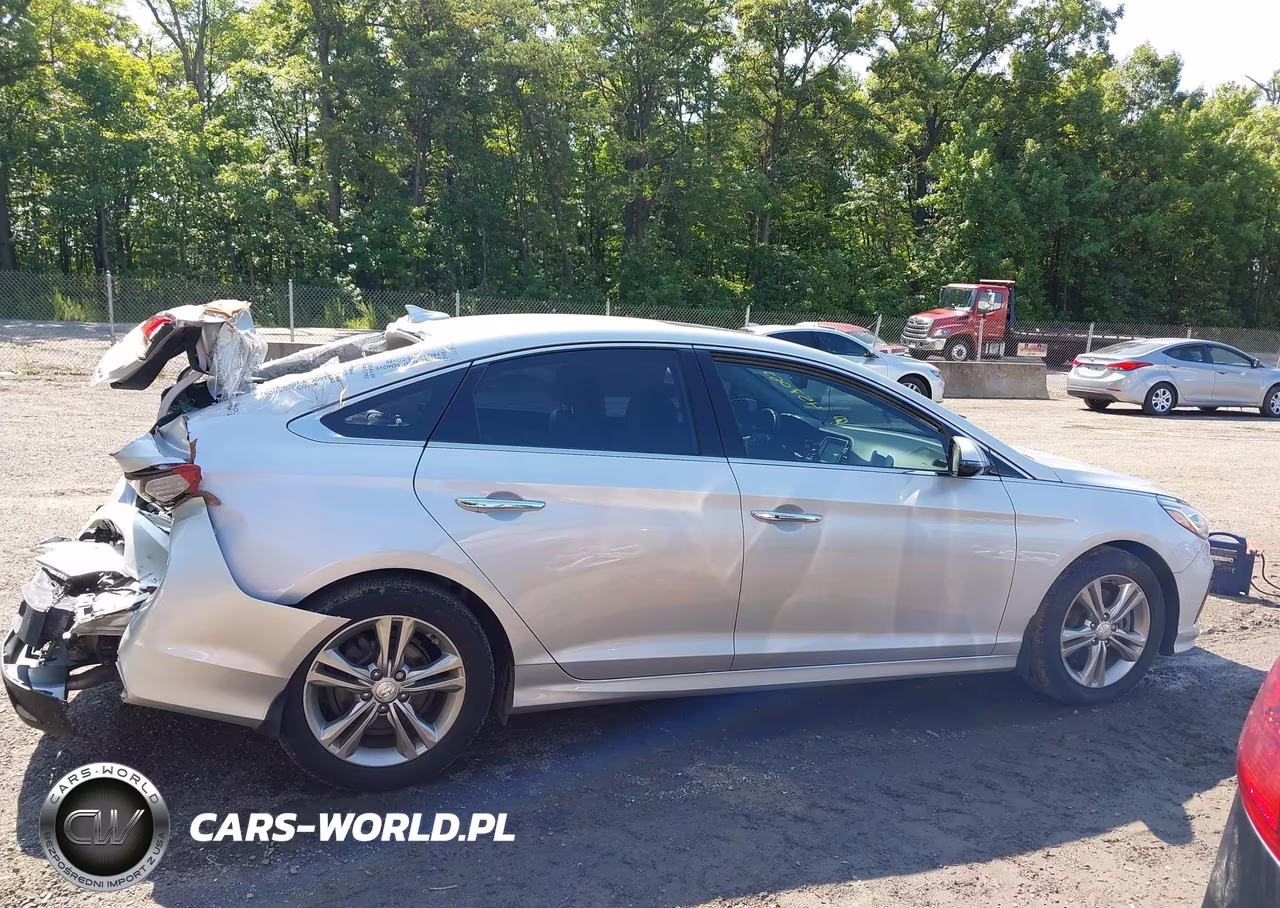 2019 Hyundai Sonata Limited VIN:5NPE34AF2KH815068 - 13