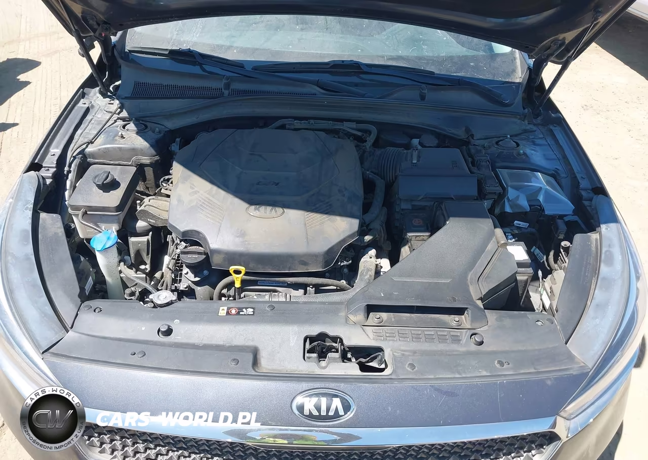 2017 Kia Cadenza Premium VIN:KNALB4J19H5042748 - 10