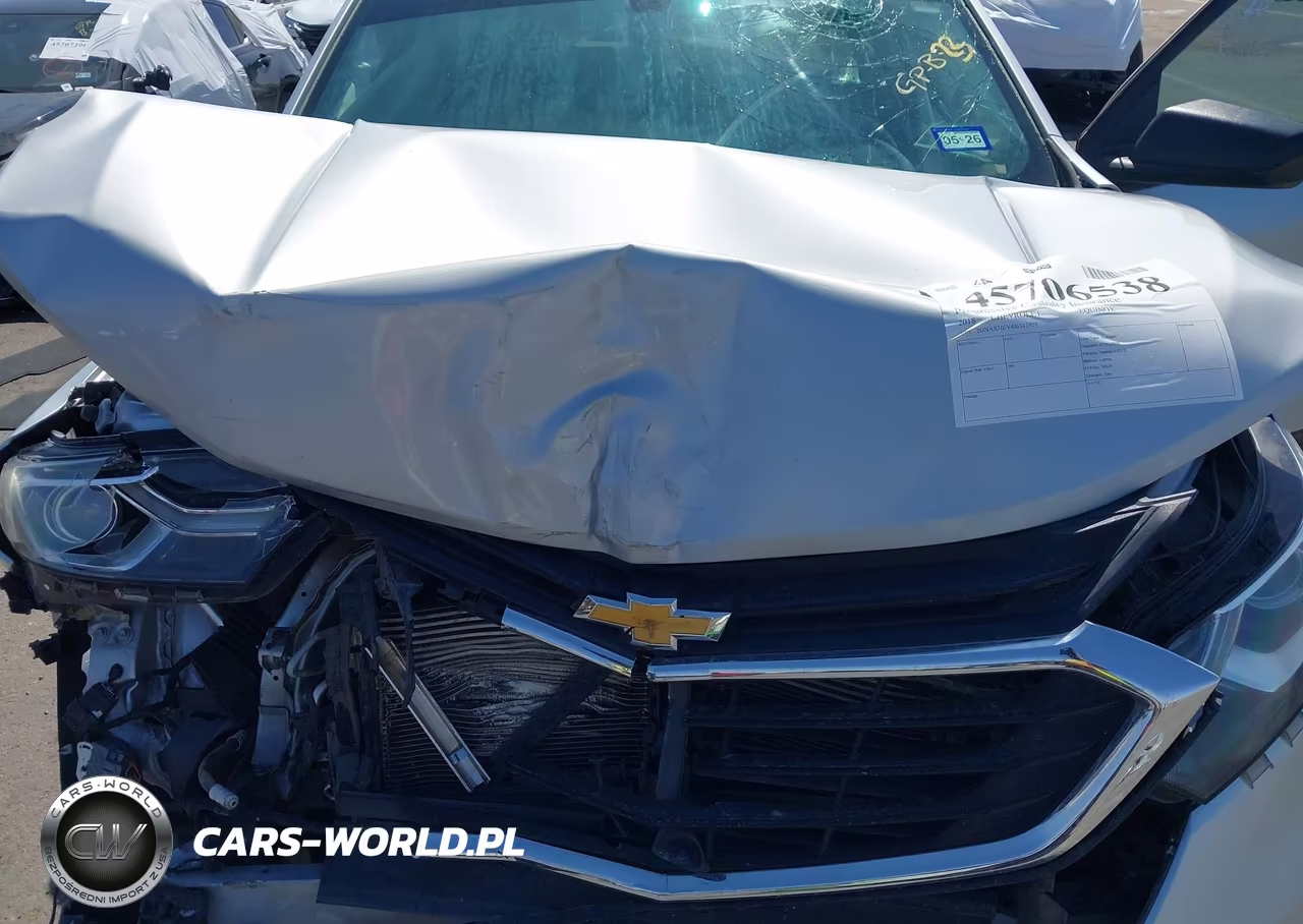 2018 Chevrolet Equinox Ls VIN:2GNAXHEV4J6343929 - 10