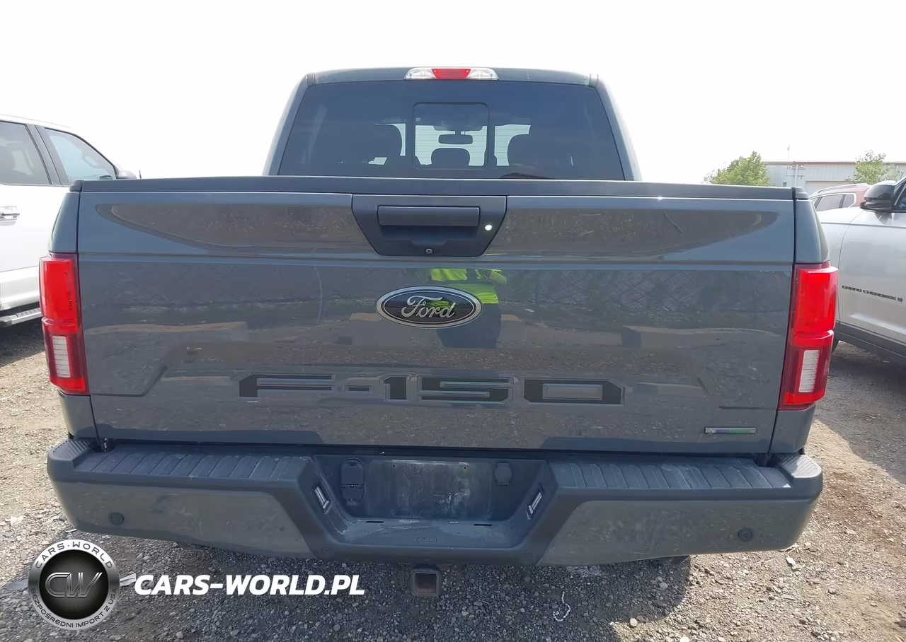2020 Ford F-150 Xlt VIN:1FTEW1E40LFB65960 - 16