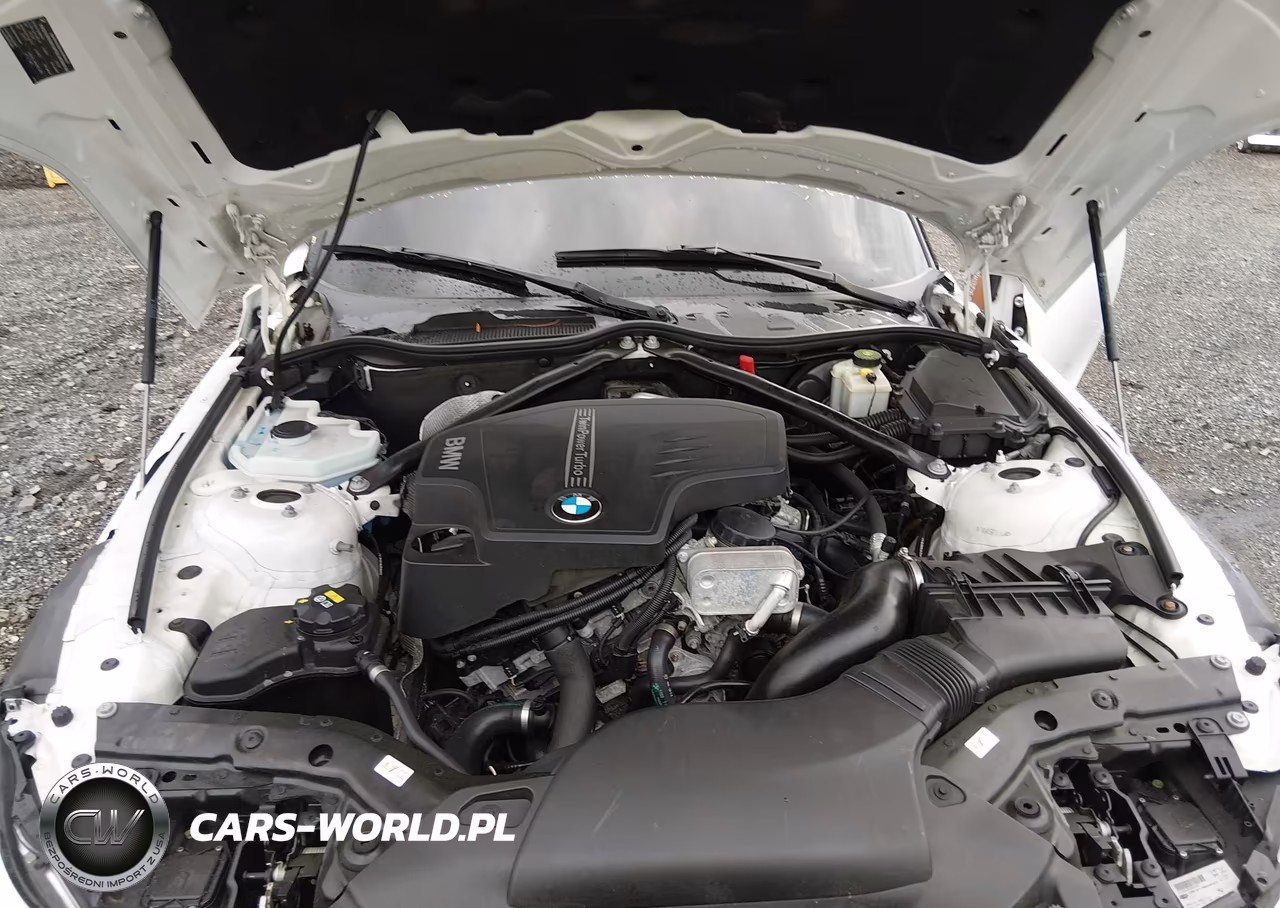2016 BMW Z4 Sdrive28I VIN:WBALL5C50G5A20304 - 10