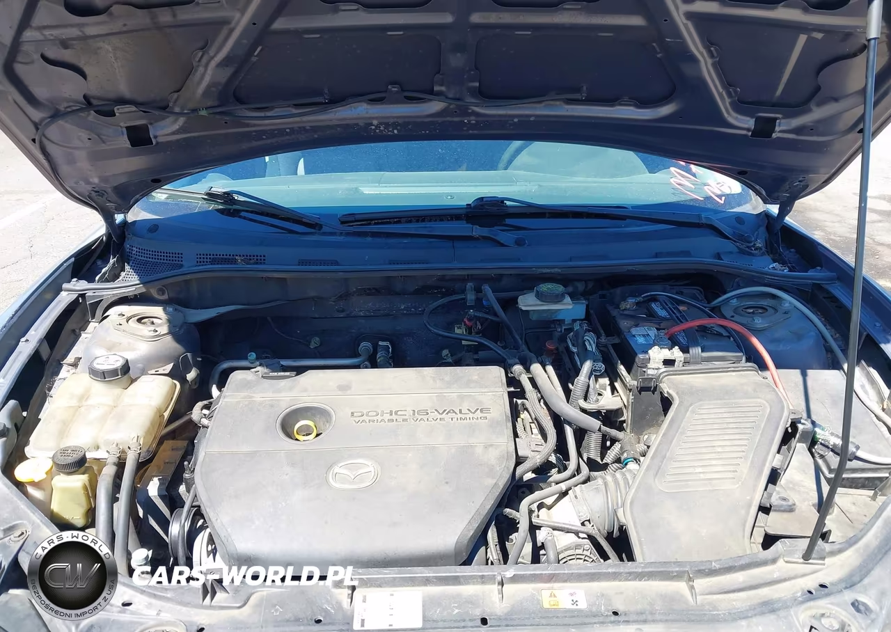 2009 Mazda Mazda3 I VIN:JM1BK32F091238718 - 10