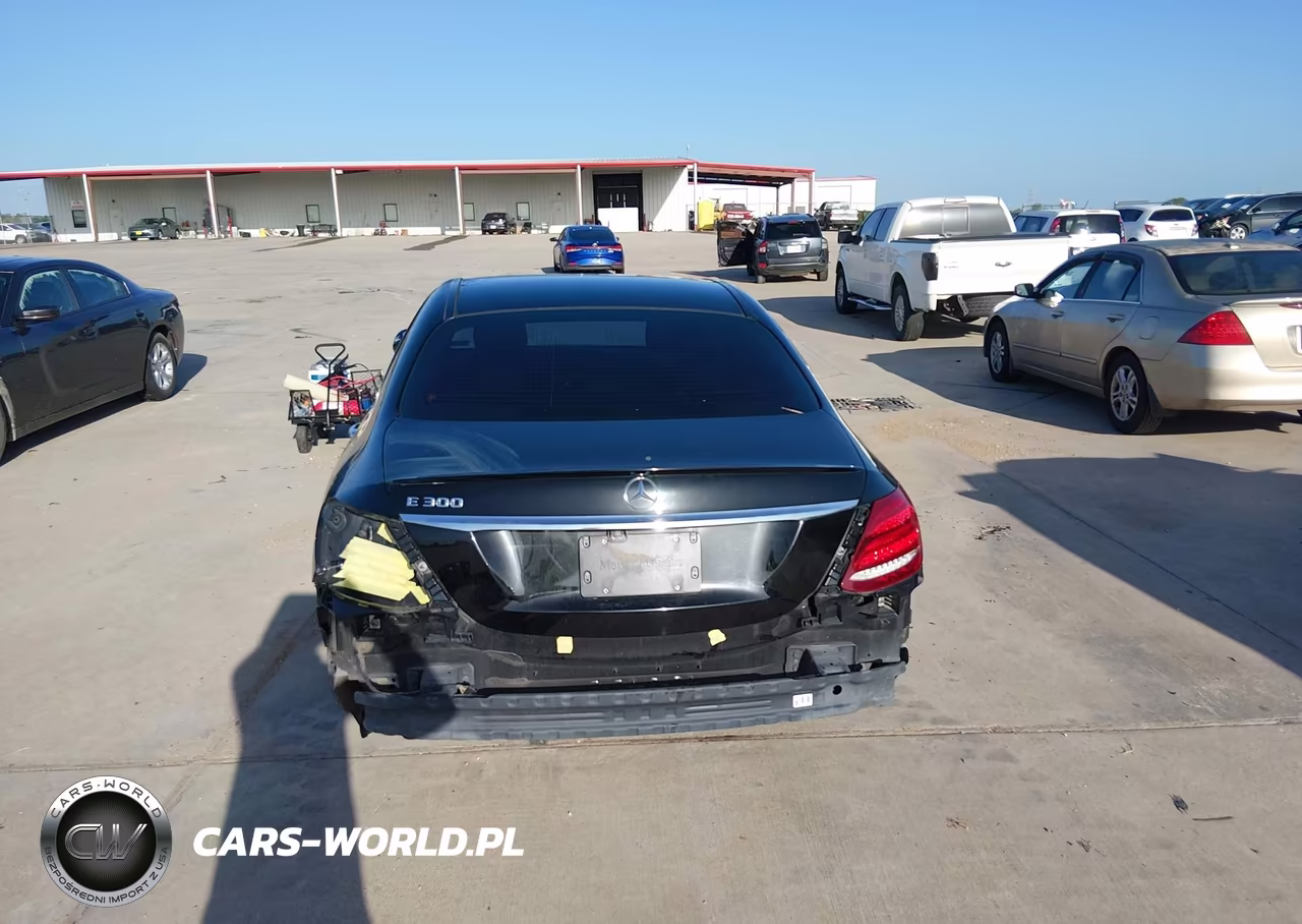 2019 Mercedes-Benz E 300 VIN:WDDZF4JB0KA608245 - 16