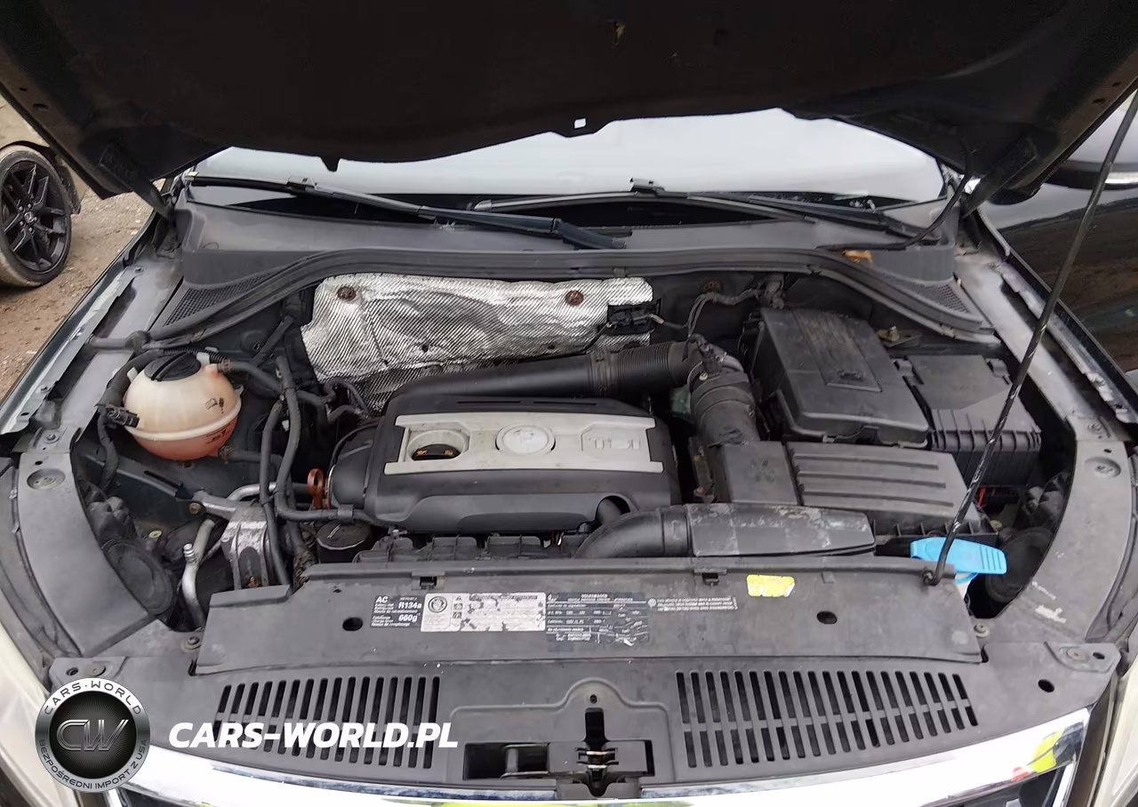 2011 Volkswagen Tiguan Sel VIN:WVGBV7AX1BW525014 - 10