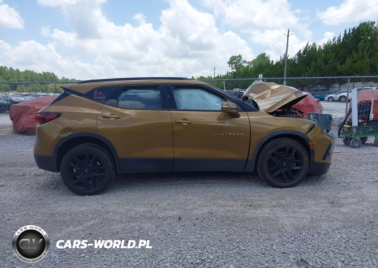 2019 Chevrolet Blazer VIN:3GNKBCRS7KS693208 - 13