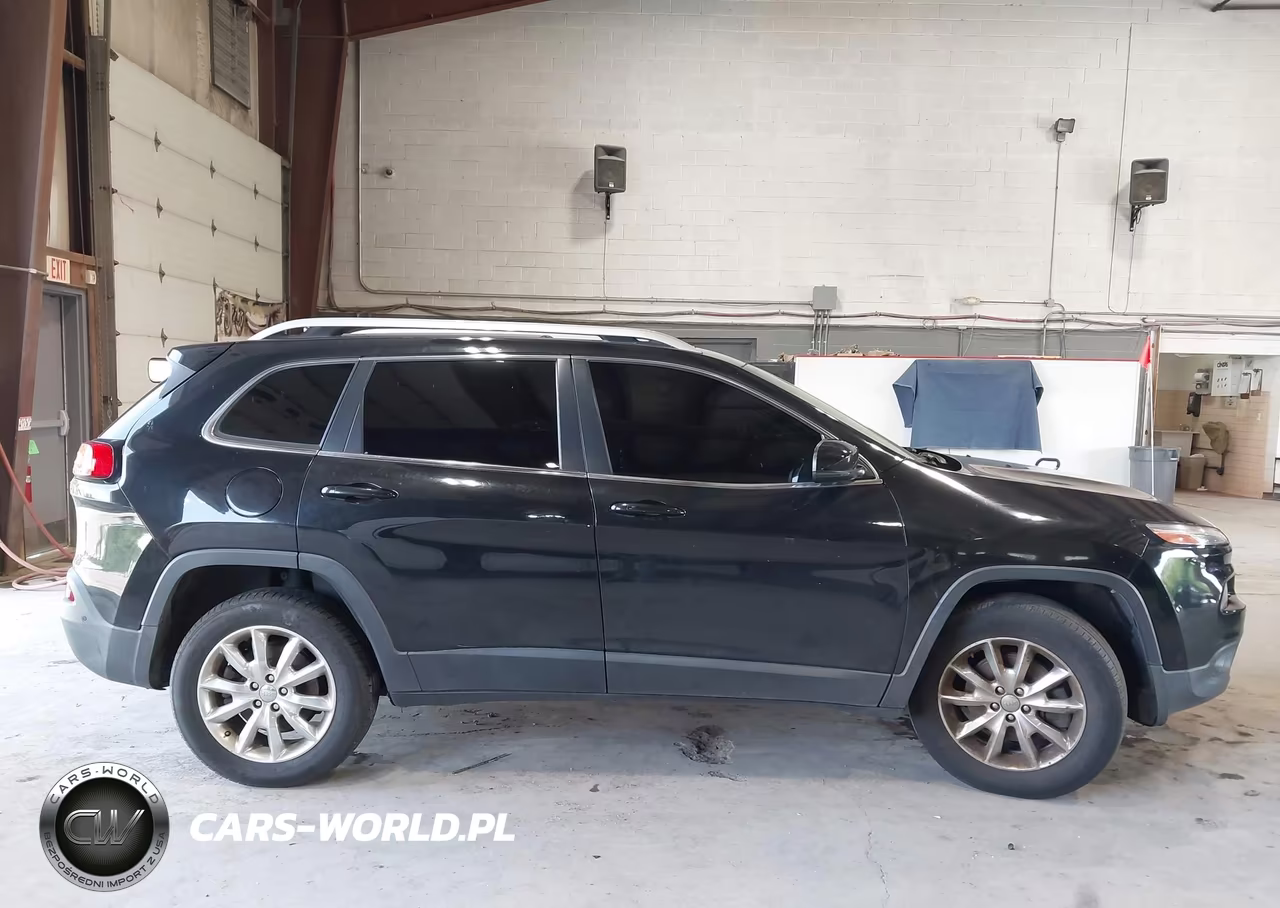 2014 Jeep Cherokee Limited VIN:1C4PJMDS3EW166029 - 13
