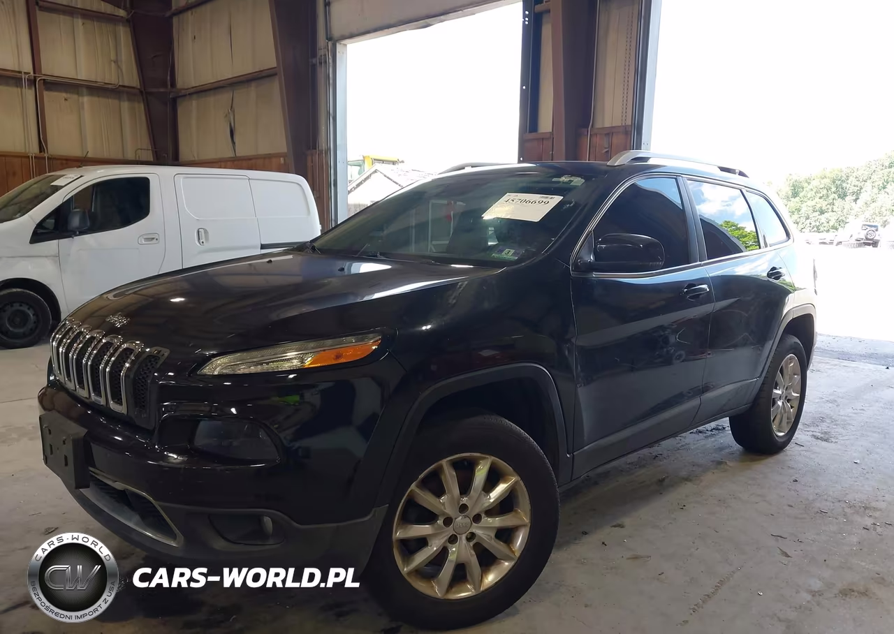 2014 Jeep Cherokee Limited VIN:1C4PJMDS3EW166029 - 2