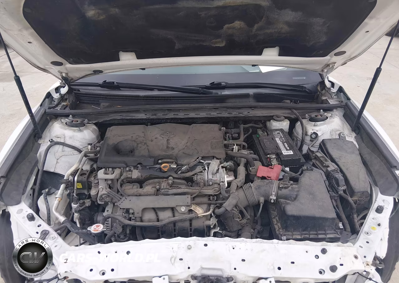 2019 Toyota Camry Se VIN:4T1B11HK2KU195611 - 10