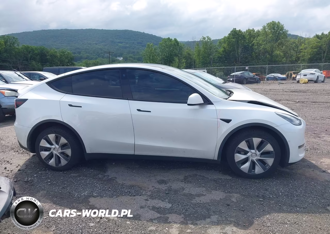 2021 Tesla Model Y Long Range Dual Motor All-Wheel Drive VIN:5YJYGDEEXMF266742 - 12