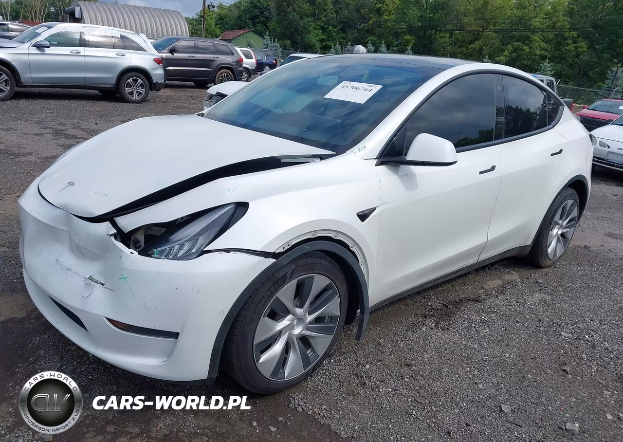 2021 Tesla Model Y Long Range Dual Motor All-Wheel Drive VIN:5YJYGDEEXMF266742 - 2