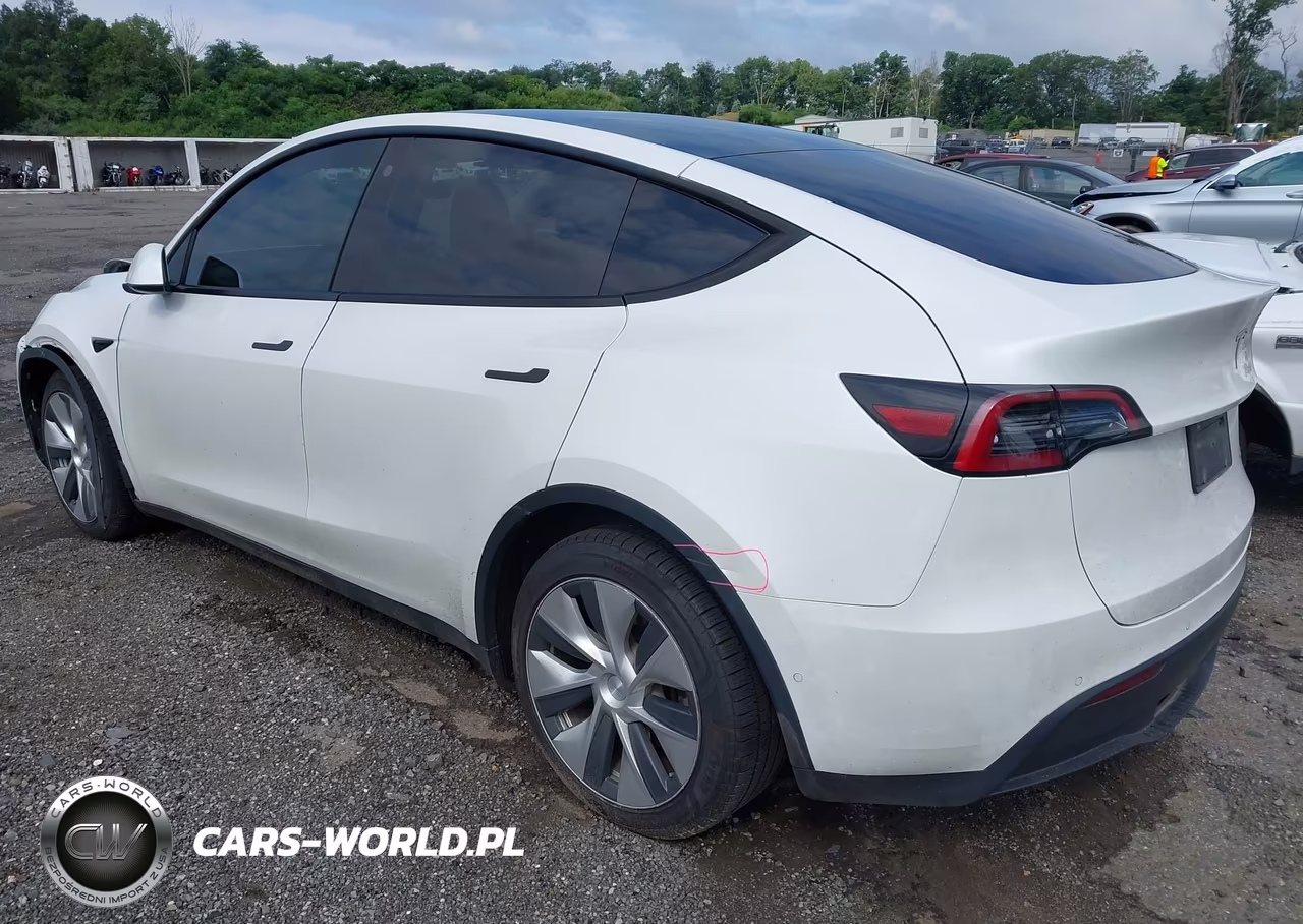 2021 Tesla Model Y Long Range Dual Motor All-Wheel Drive VIN:5YJYGDEEXMF266742 - 3