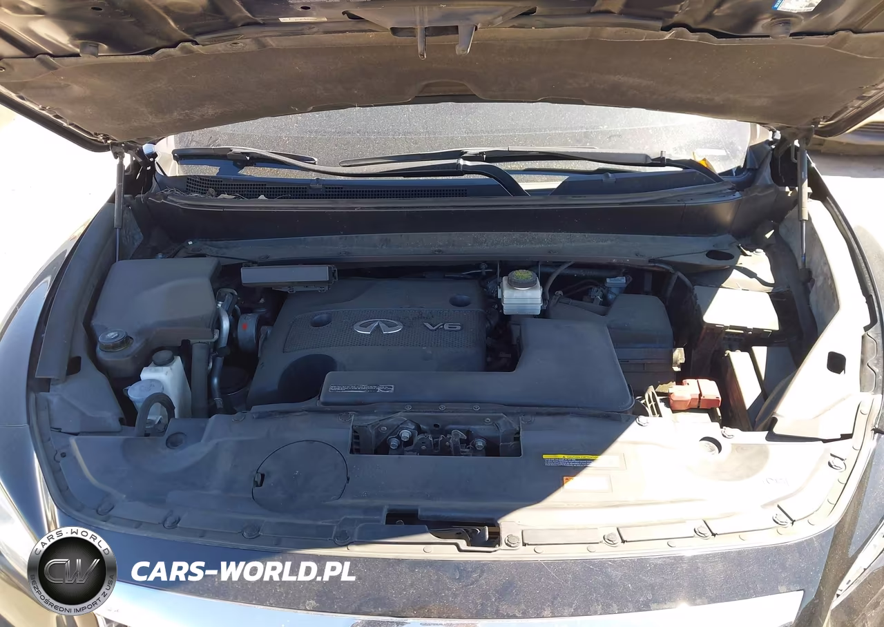 2013 Infiniti Jx35 VIN:5N1AL0MN7DC320093 - 10