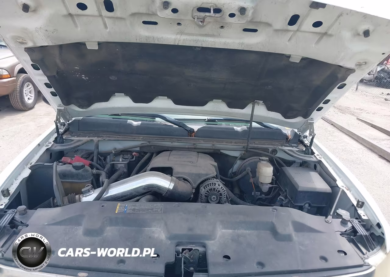 2010 Chevrolet Silverado 1500 Lt VIN:3GCRCSEA8AG189473 - 10