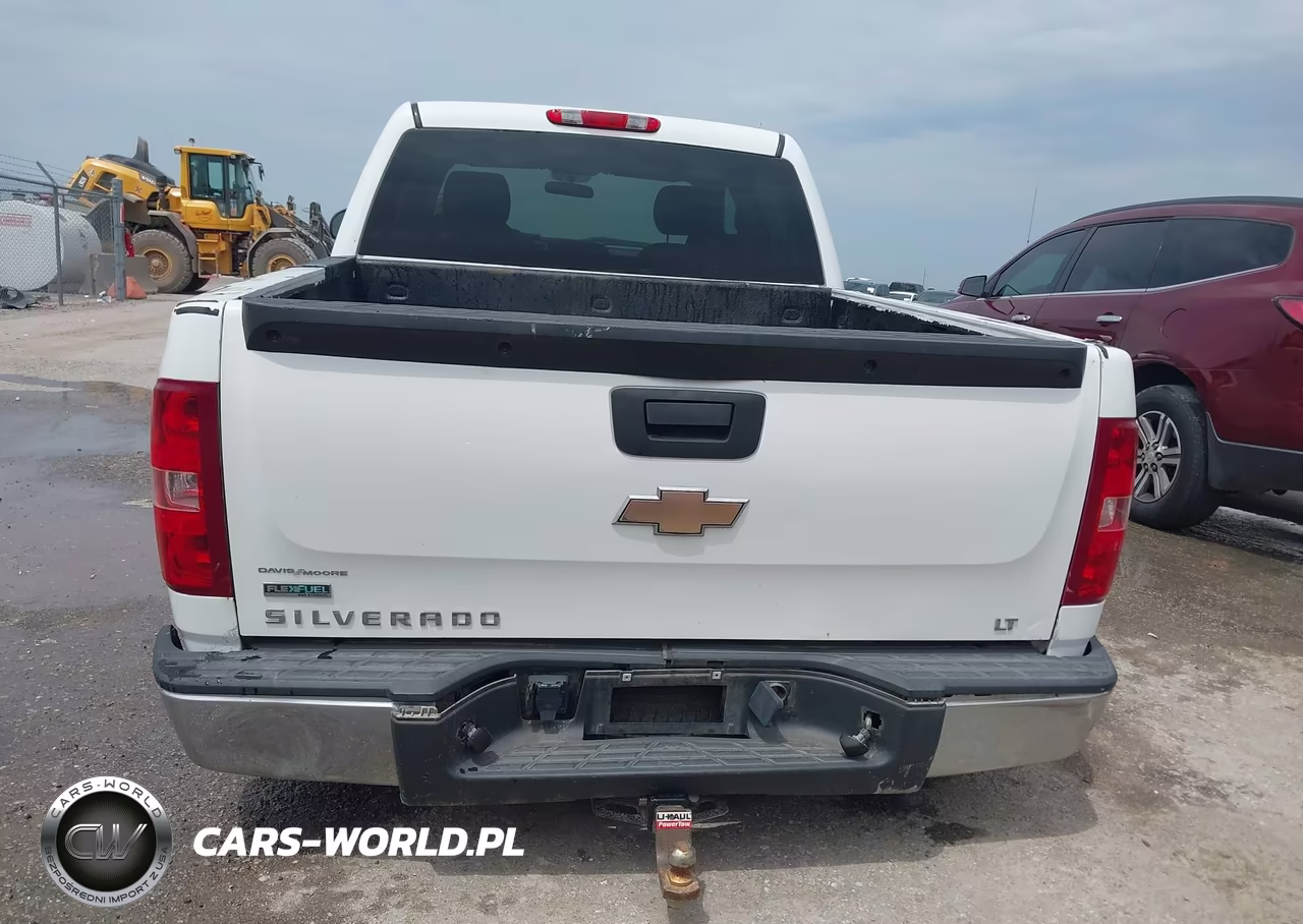 2010 Chevrolet Silverado 1500 Lt VIN:3GCRCSEA8AG189473 - 16