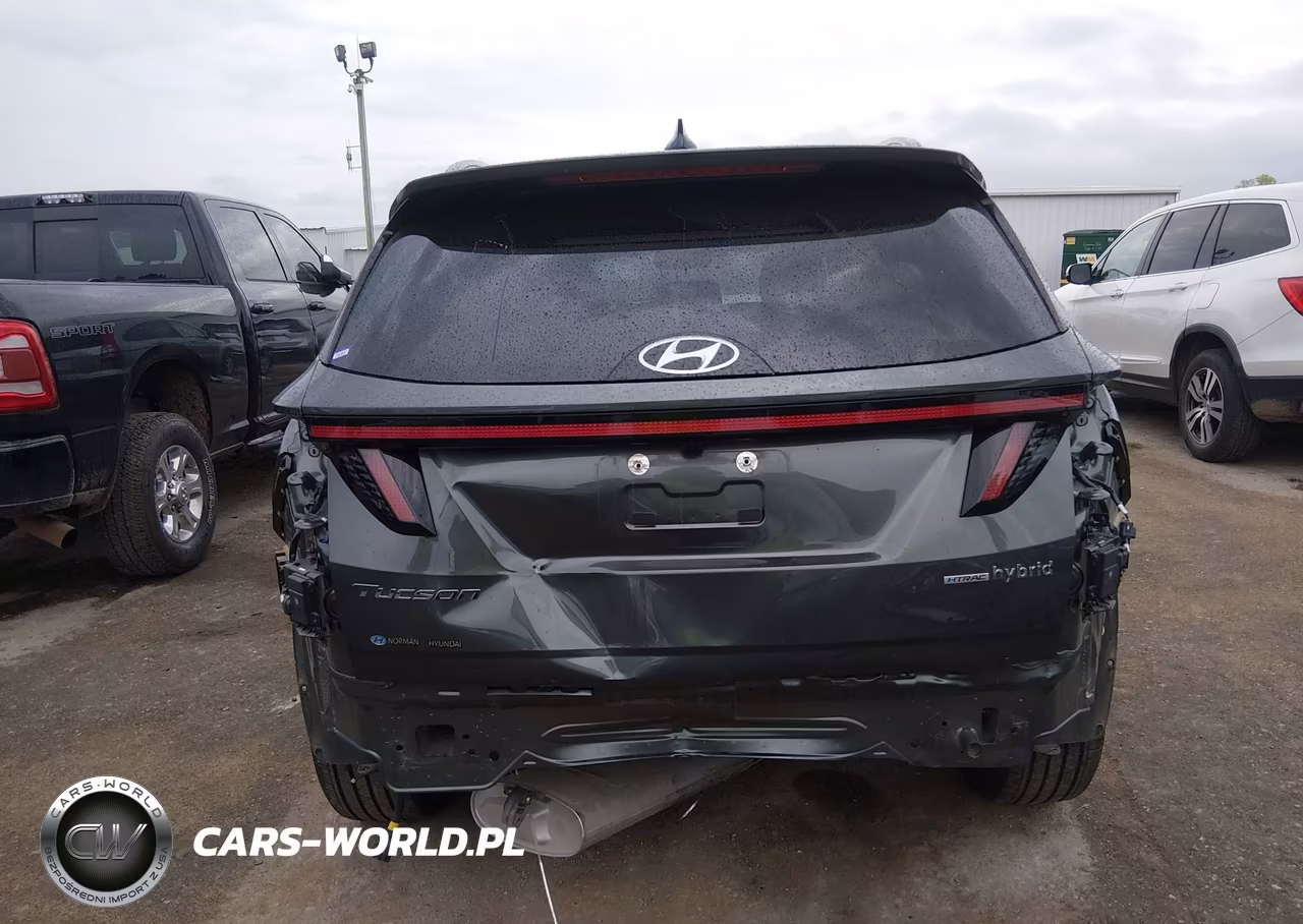 2024 Hyundai Tucson Hybrid Limited VIN:KM8JECD1XRU244945 - 6