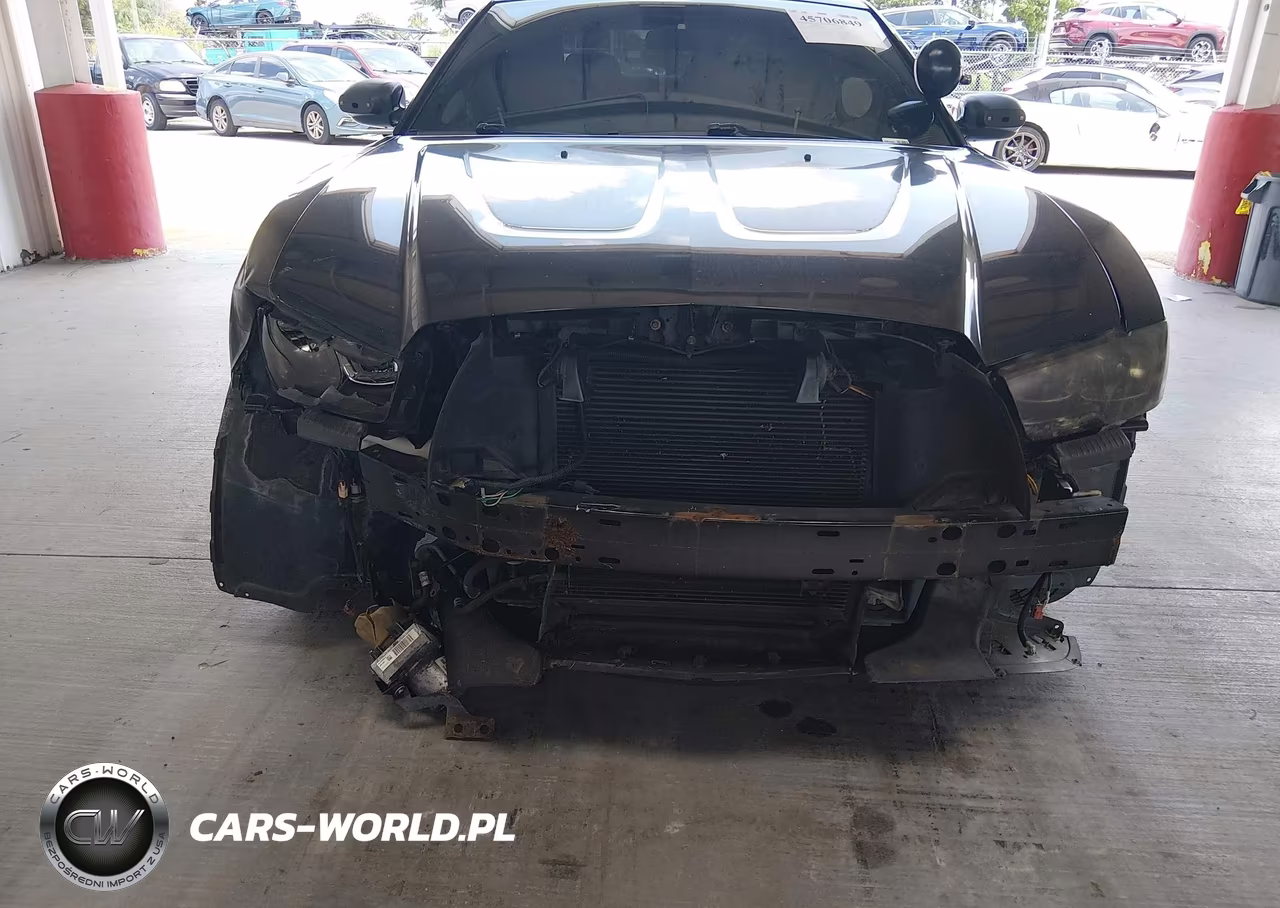 2013 Dodge Charger Police VIN:2C3CDXAT9DH642984 - 13