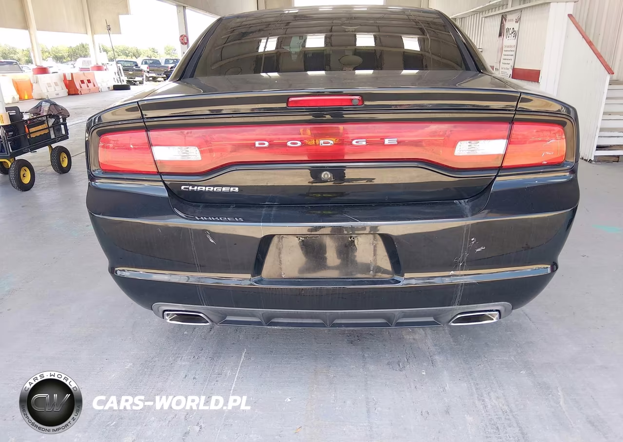 2013 Dodge Charger Police VIN:2C3CDXAT9DH642984 - 17