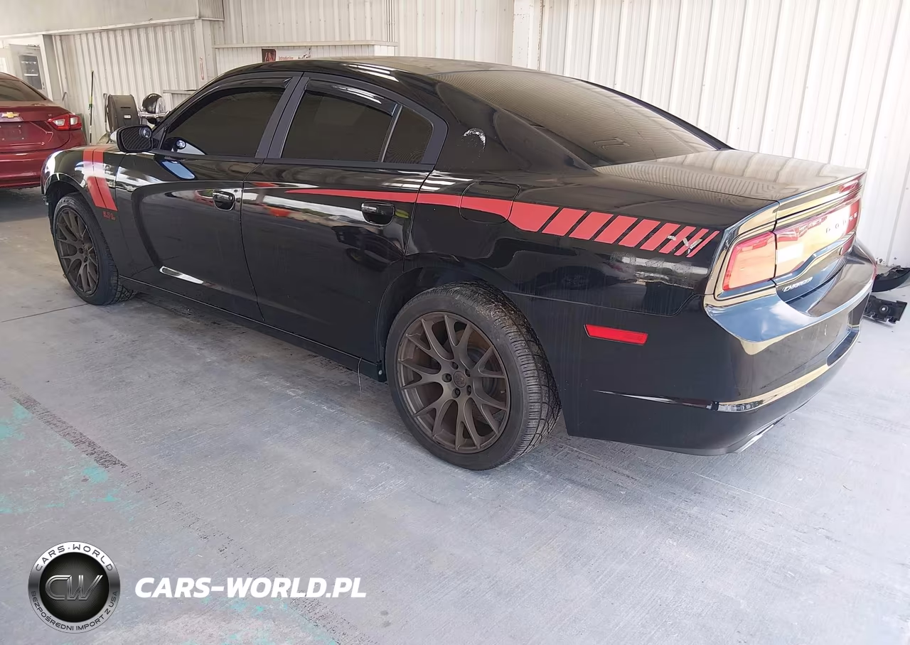 2013 Dodge Charger Police VIN:2C3CDXAT9DH642984 - 3