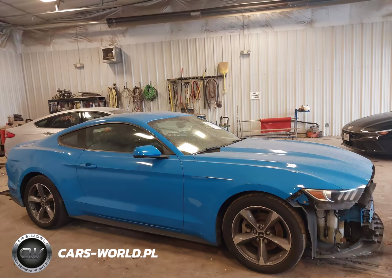 2017 Ford Mustang Ecoboost VIN:1FA6P8THXH5327077 - 13