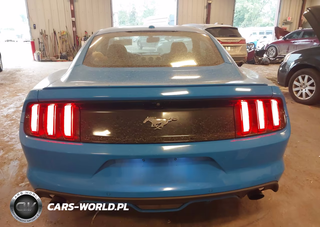 2017 Ford Mustang Ecoboost VIN:1FA6P8THXH5327077 - 16