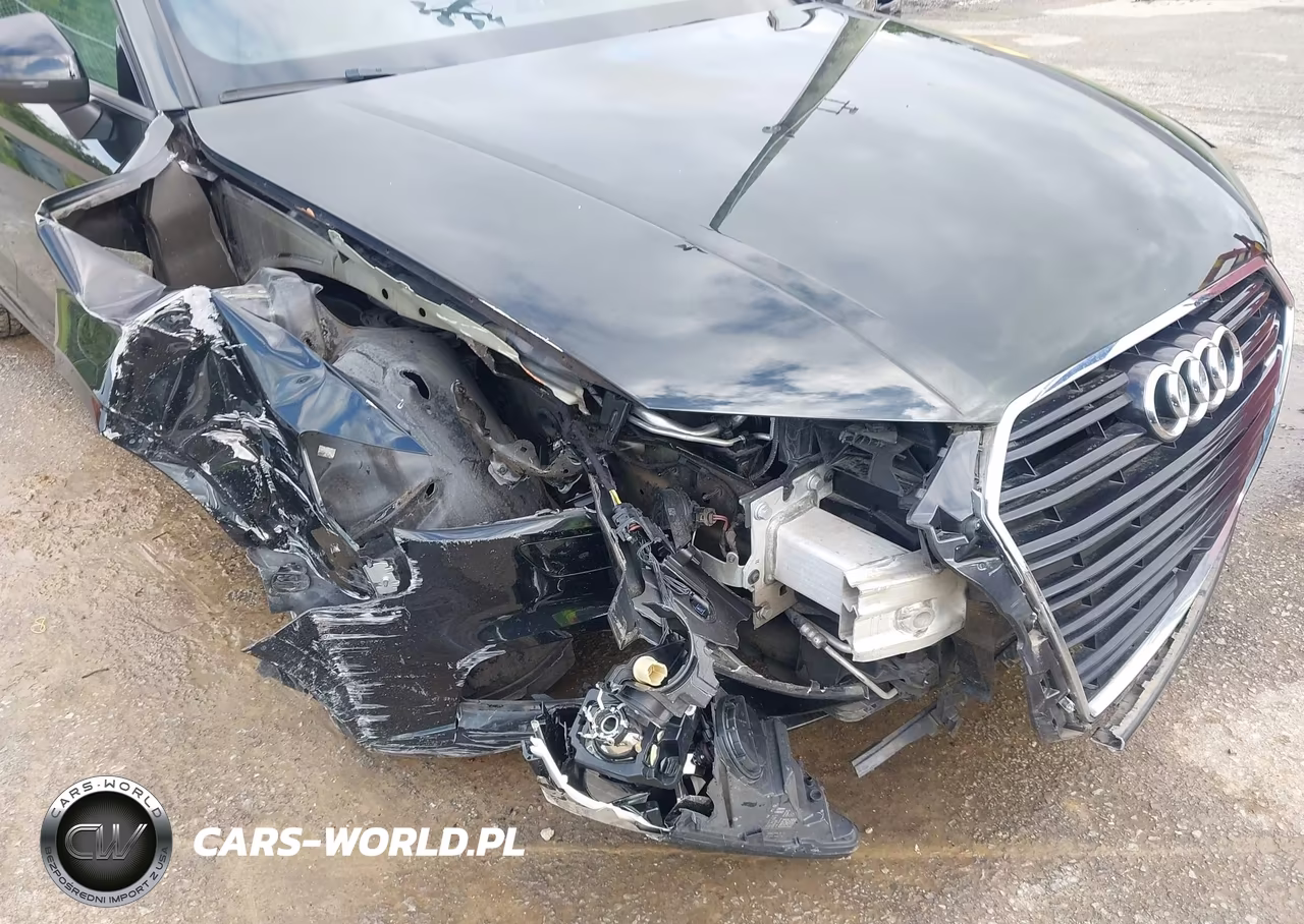 2018 Audi A3 2.0T Premium-2.0T Tech Premium VIN:WAUAUGFF5J1010755 - 6