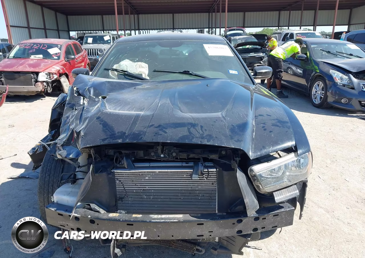 2014 Dodge Charger Police VIN:2C3CDXAG3EH186209 - 12
