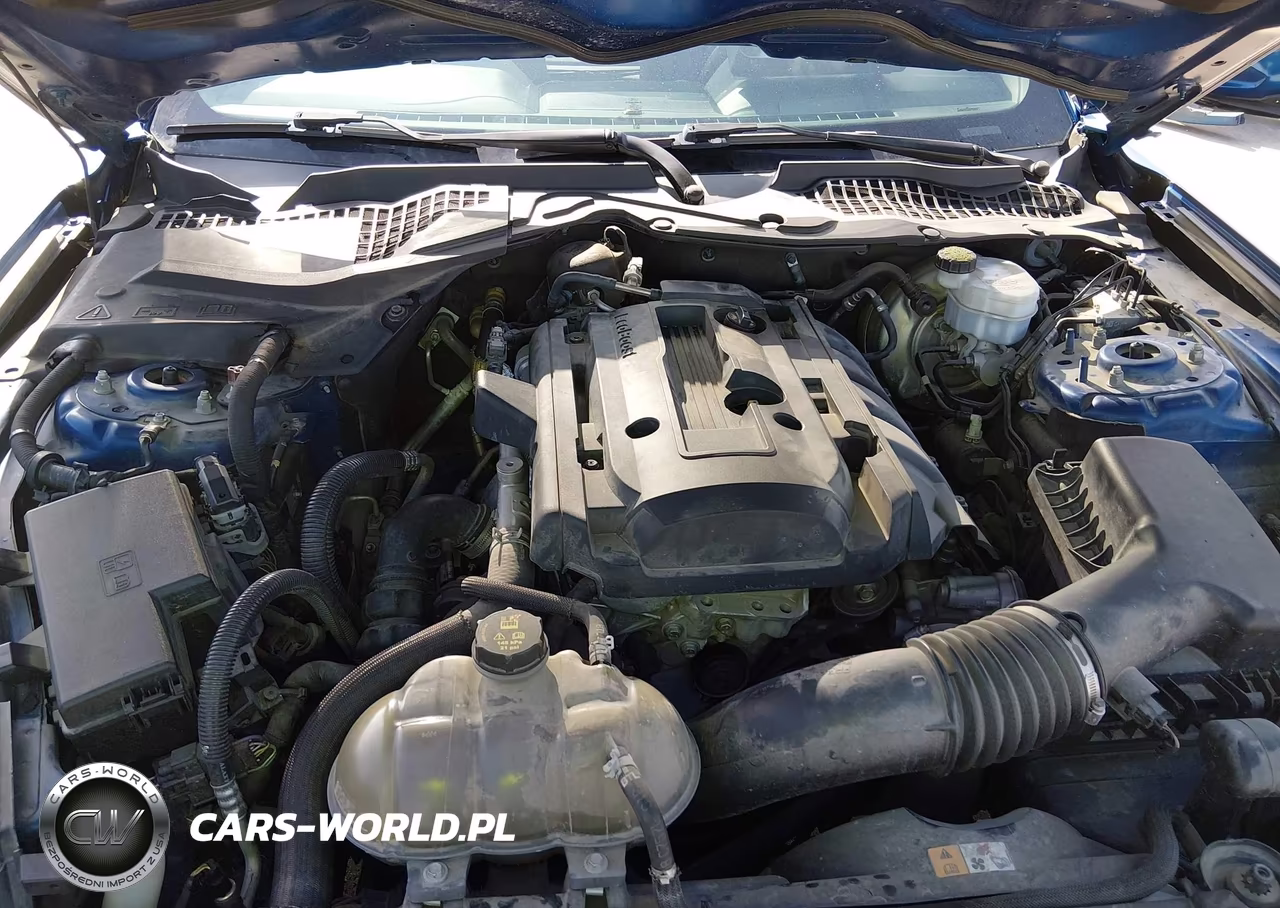 2018 Ford Mustang Ecoboost VIN:1FA6P8TH1J5118977 - 10