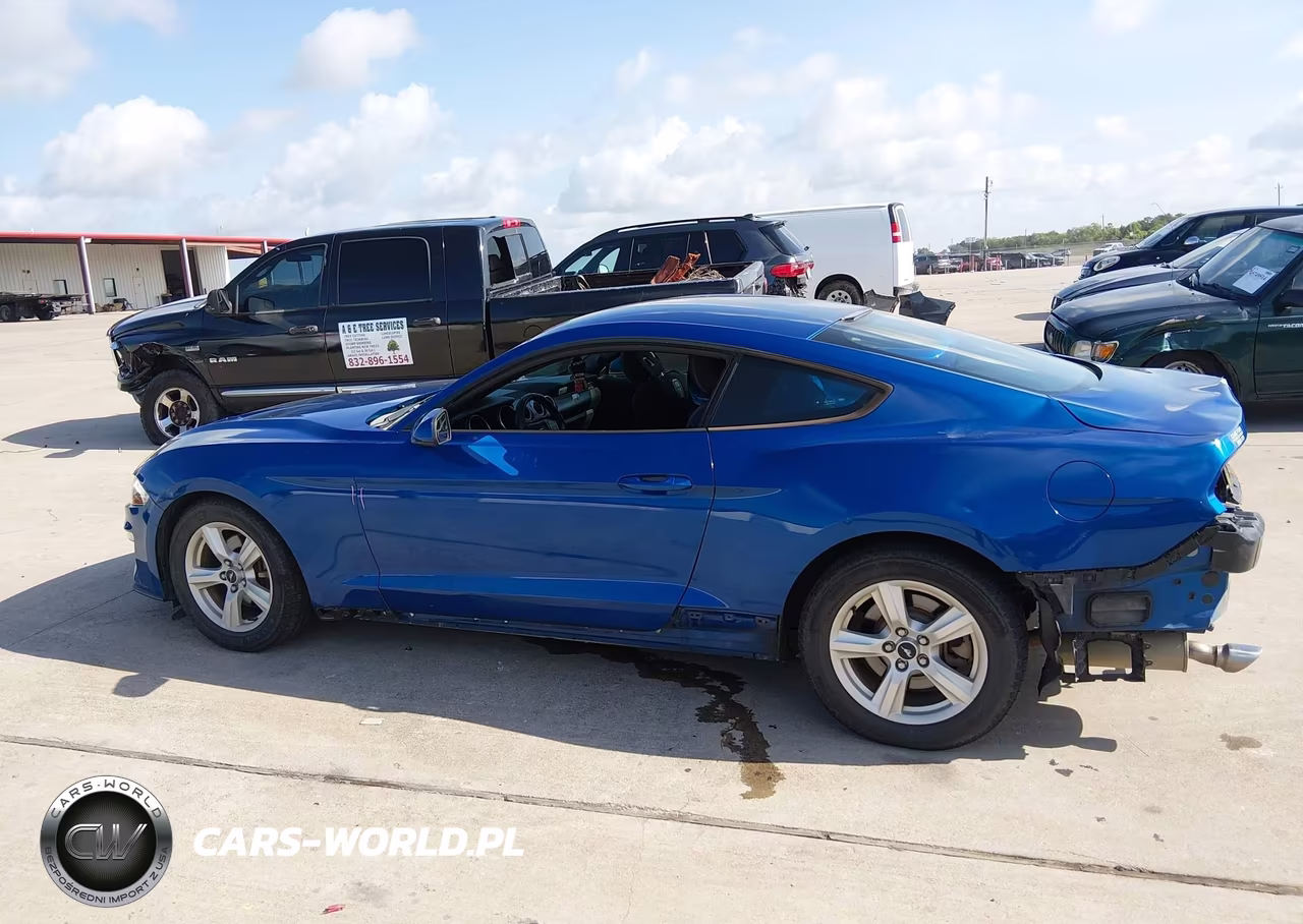 2018 Ford Mustang Ecoboost VIN:1FA6P8TH1J5118977 - 15