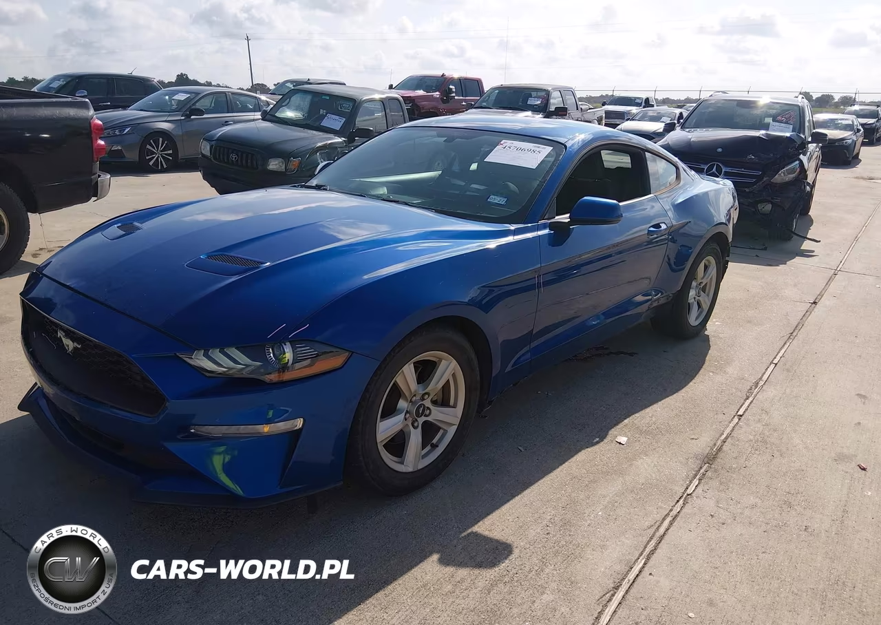 2018 Ford Mustang Ecoboost VIN:1FA6P8TH1J5118977 - 2