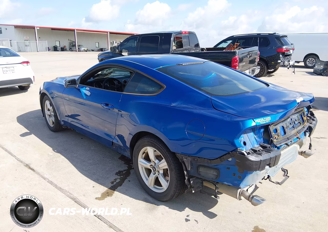 2018 Ford Mustang Ecoboost VIN:1FA6P8TH1J5118977 - 3